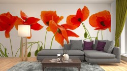 fotobehang klaprozen - depst-68362833 - woonkamer